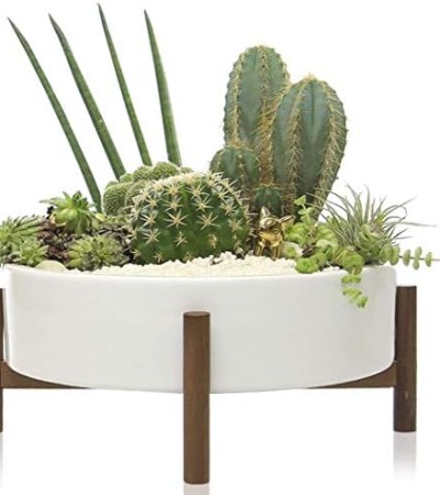 kimisty Large Round Succulent Planter, Pot with Wood Stand and Saucer, Round White Planters, Mid Century Décor, Cactus and Plant Container with Drainage, Indoor (10