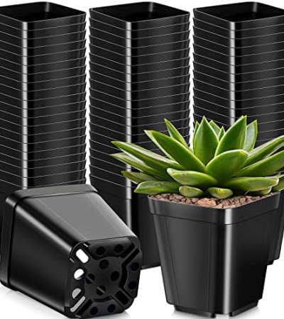 1000 Pcs 2.7 Inch Plastic Nursery Pots Small Square Plant Pot Seedling Pots Plant Starter Pots Nursery Planter Container for Indoor Outdoor Starting Seedlings, Seed Planting, Succulents, Flower, Black